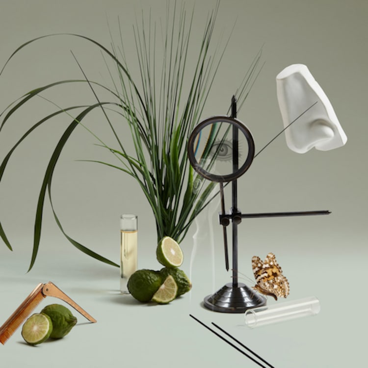 The Inimitable William Penhaligon - Eau de parfum Boisée