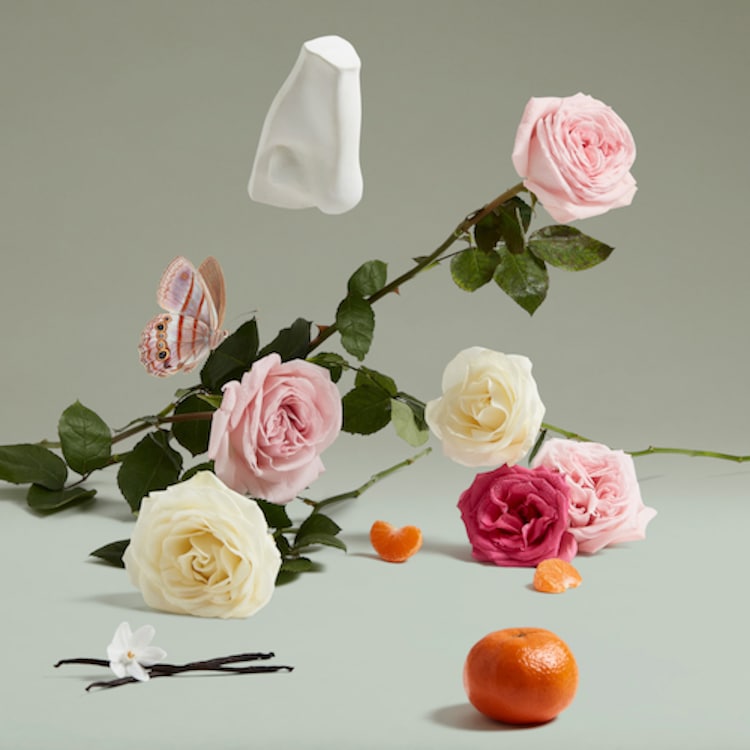 Much Ado About The Duke - Eau de parfum Florale