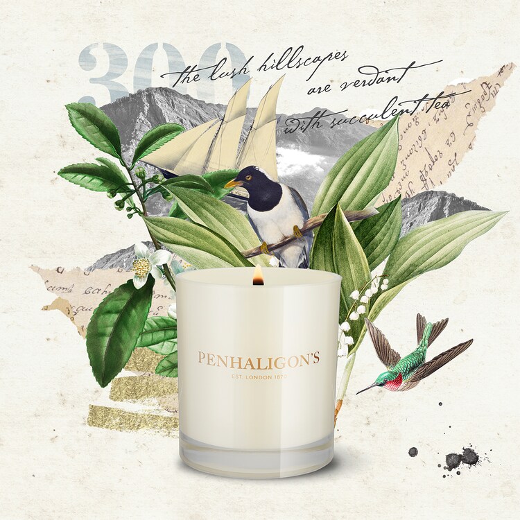 Ceylon Pekoe - Bougie