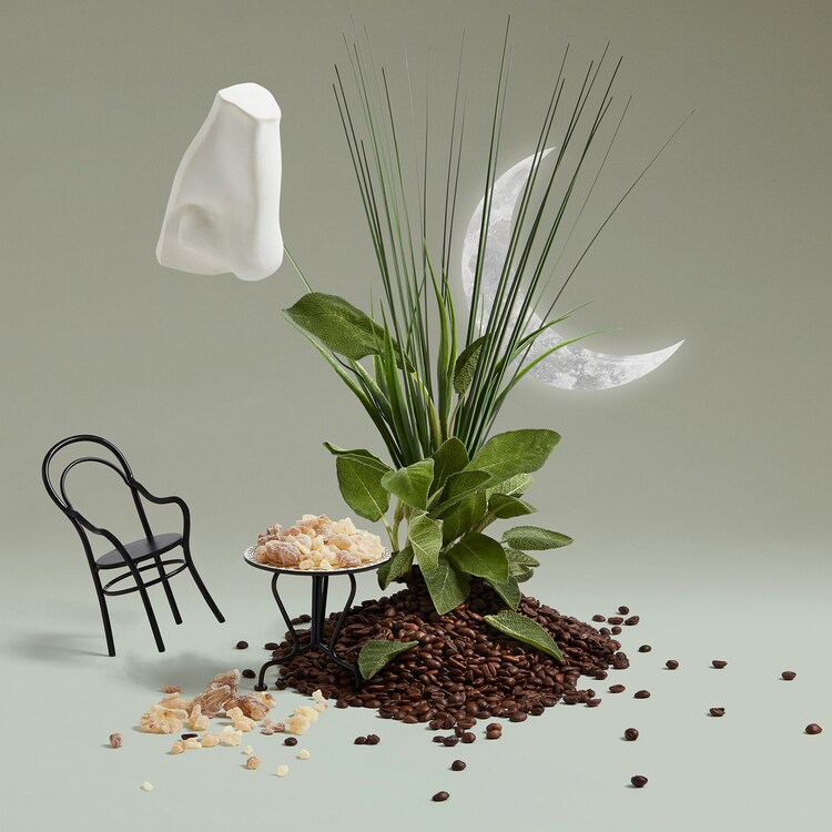 Endymion - Eau de cologne Boisée