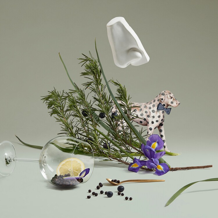 Juniper Sling - Eau de toilette Hespéridée