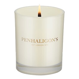 Ceylon Pekoe - Bougie