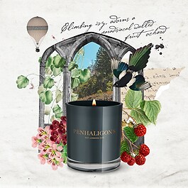 Roanoke Ivy - Bougie