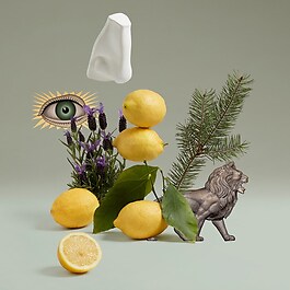Blenheim Bouquet - Eau de toilette Hespéridée