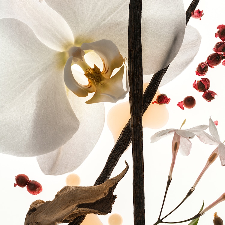 Vanilla Skin - Eau de parfum format voyage