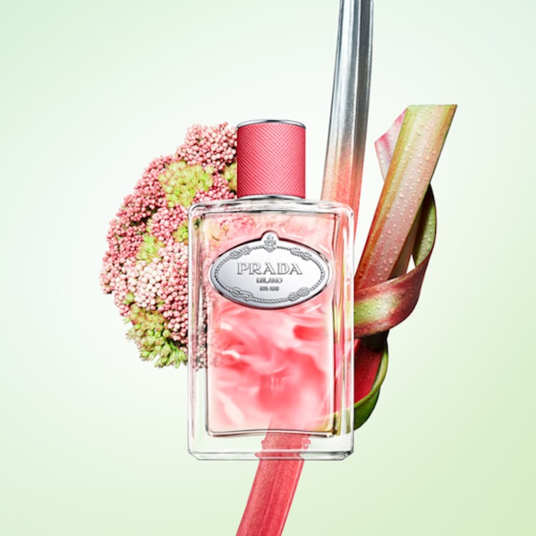 Infusion de Rhubarbe - Eau de Parfum espiègle florale fruitée