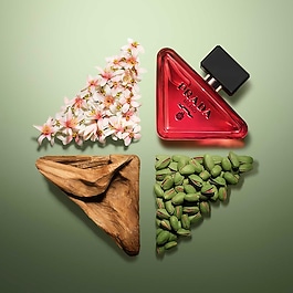 Paradoxe Radical Essence - Eau de Parfum Nachfüllbar