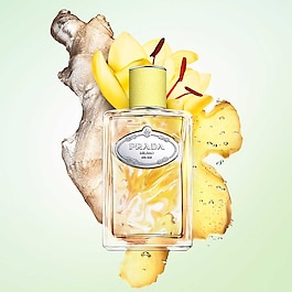 Infusion de Gingembre - Eau de Parfum