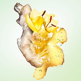 Infusion de Gingembre - Eau de Parfum