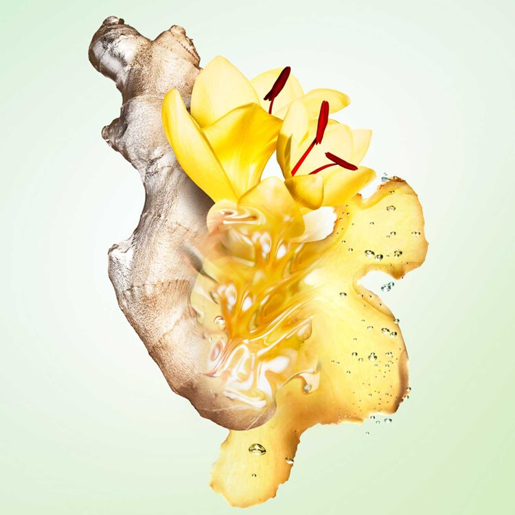 Les Infusions Gingembre - Eau de Parfum Fragancia Unisex Cítrica Amaderada