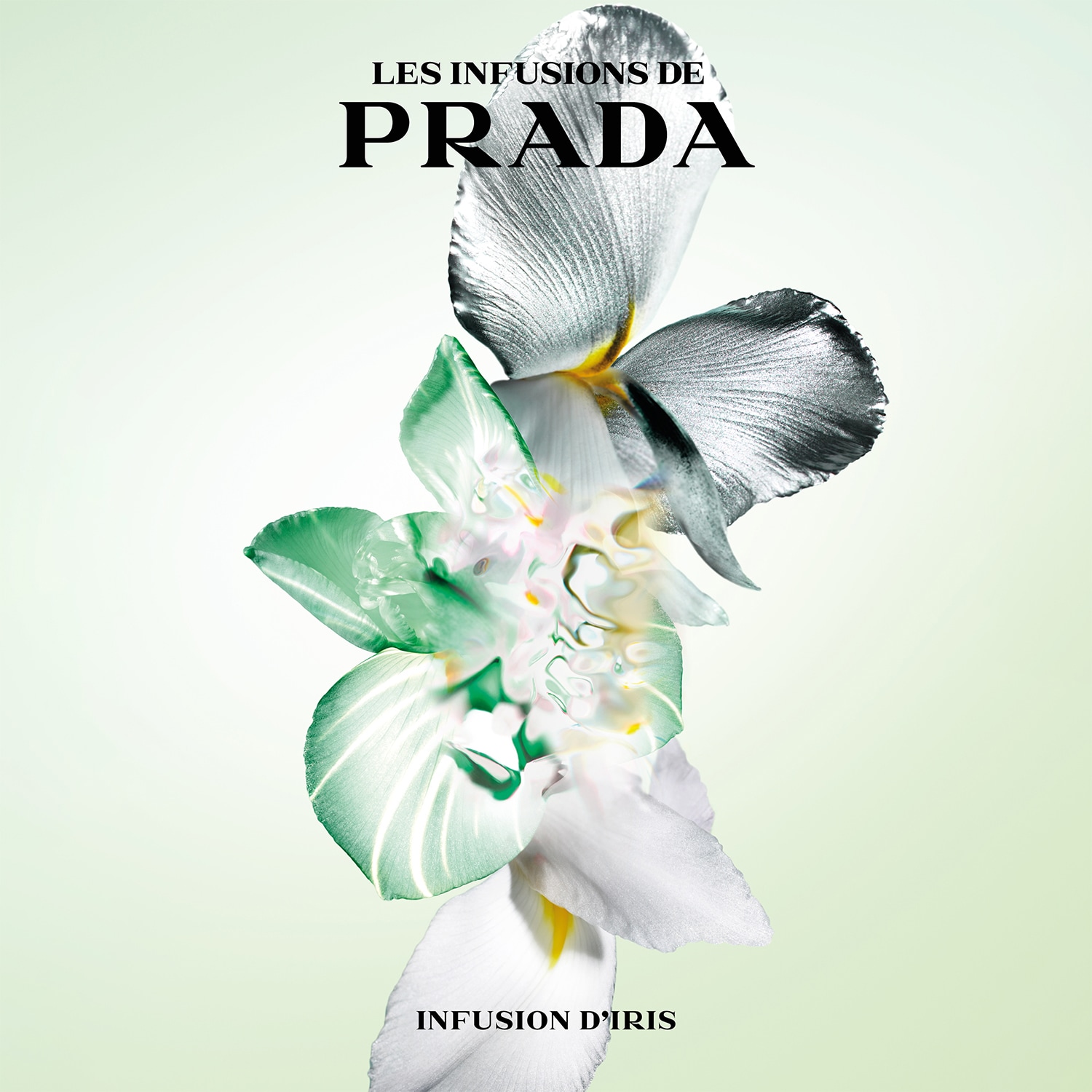 Infusion d'Iris - Eau de Parfum ❘ PRADA ≡ SEPHORA