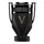 Invictus Victory Absolu - drzewny i korzenny
