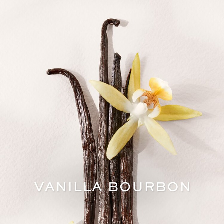 Polo Earth Antilles Vetiver - Eau de Toilette Refill