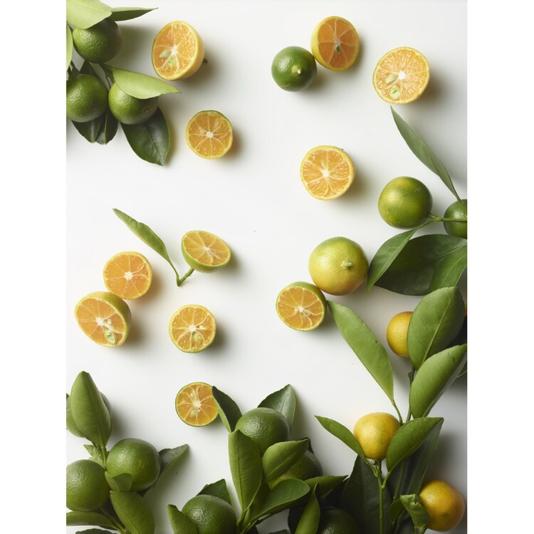 Polo Blue Eau de Parfum