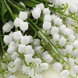 Big Pony Pink - Eau de Toilette