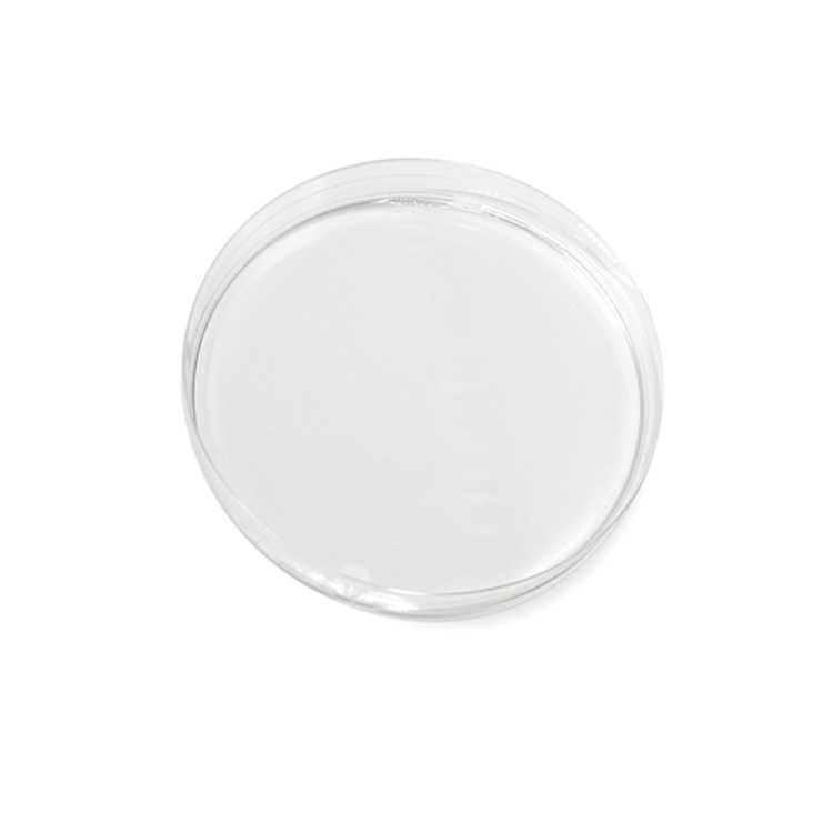 Haircare by Redken Brews - Sérum densifiant cheveux affinés