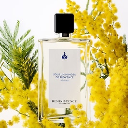 SOUS UN MIMOSA DE PROVENCE - EAU DE TOILETTE INTENSE