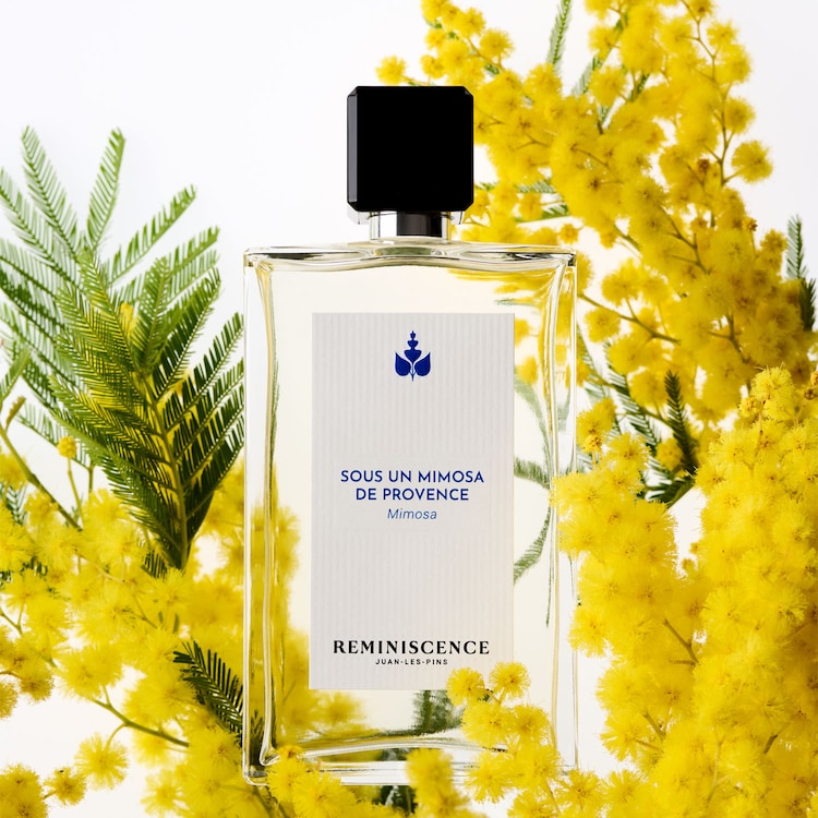 SOUS UN MIMOSA DE PROVENCE - EAU DE TOILETTE INTENSE