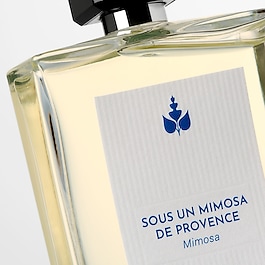 SOUS UN MIMOSA DE PROVENCE - EAU DE TOILETTE INTENSE