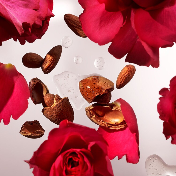 The Ritual of Ayurveda - Recarga concentrada de gel de manos