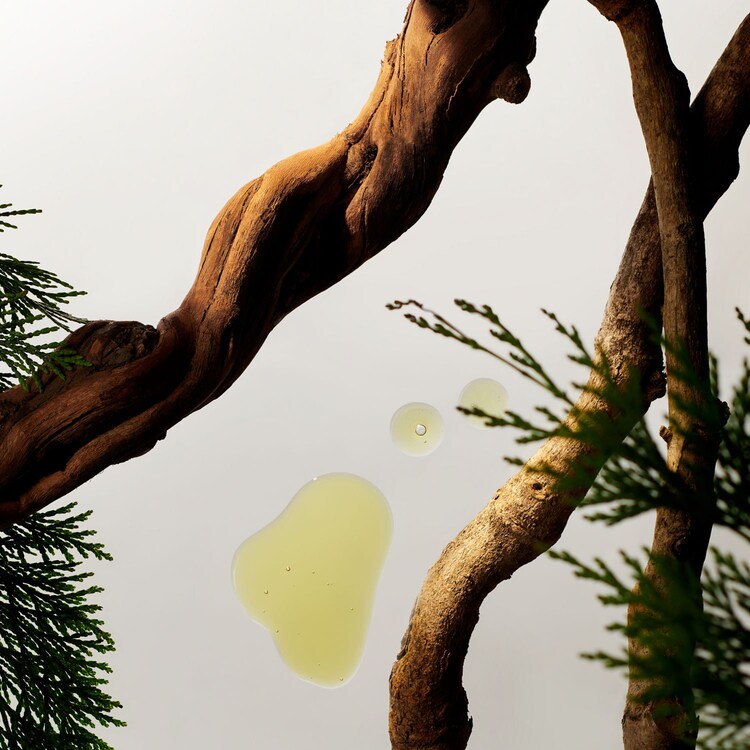 Rituals Homme - Luftfräschare för bilen Refill