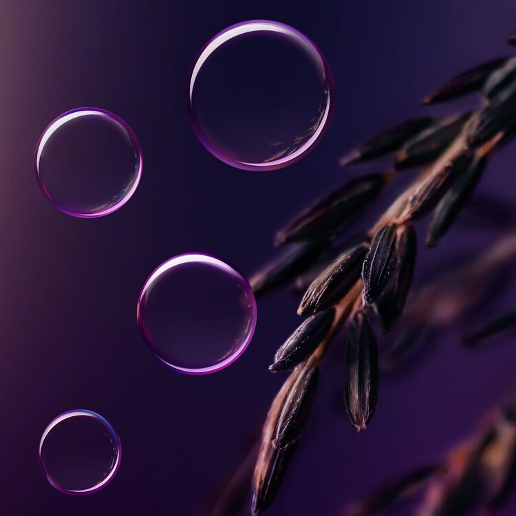 The Ritual of Yozakura - Kroppsserum