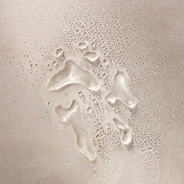 The Ritual of Ayurveda - Trockenöl für Körper & Haar