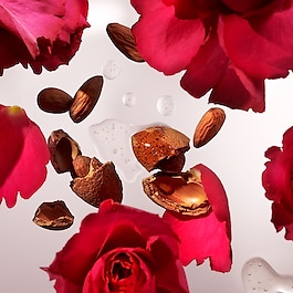 The Ritual of Ayurveda - Bruseolie