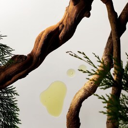 Rituals Homme - Reseset