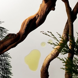 Rituals Homme - Zestaw do codziennej pielęgnacji twarzy