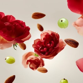 The Ritual of Ayurveda - mus do ciała