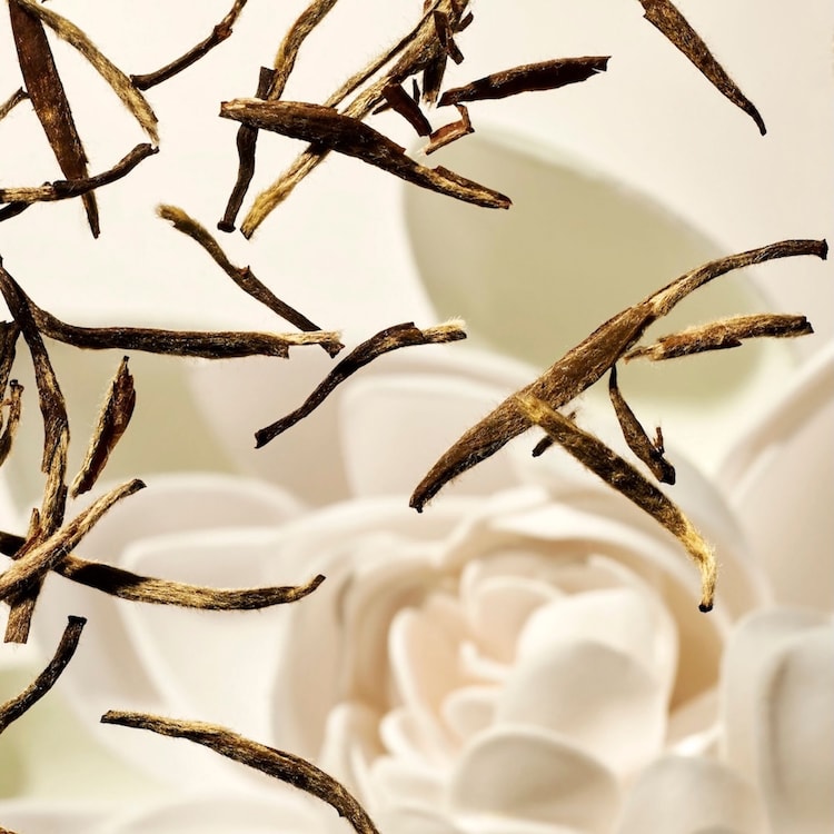 The Ritual of Karma Sun - Mousse Solaire SPF 50