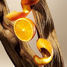 The Ritual of Mehr - Body Mousse to Oil
