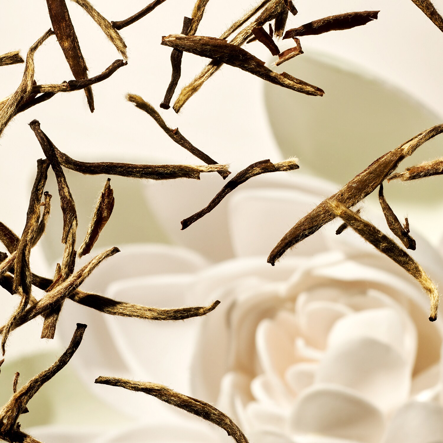 null Rituals ≡ SEPHORA