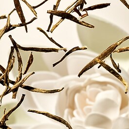 The Ritual of Karma - Rejses&aelig;t med tre bestsellere inden for solprodukter