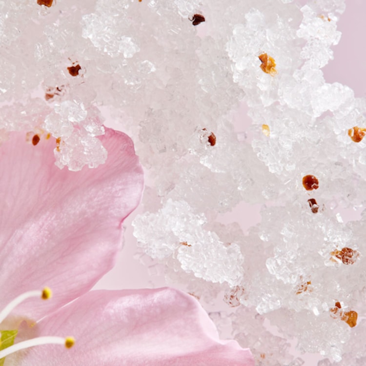 The Ritual of Sakura - Gommage pour le corps