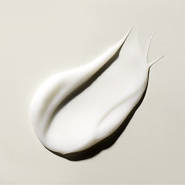 The Ritual of Ayurveda Conditioner