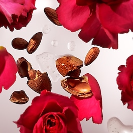 The Ritual of Ayurveda Shampoo