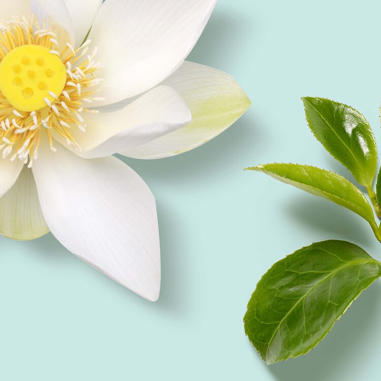 The Ritual of Karma - Creme de Corpo