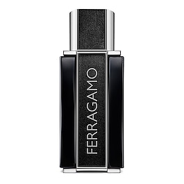 Ferragamo Sublime Leather - Eau de parfum image