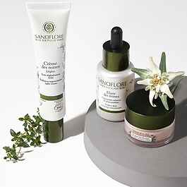 Reines - Crème des reines légère certifiée bio