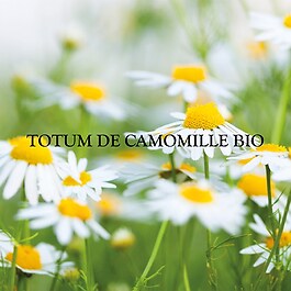 Cica Natura - Soin réparateur des lèvres gercées et abimées certifié Bio