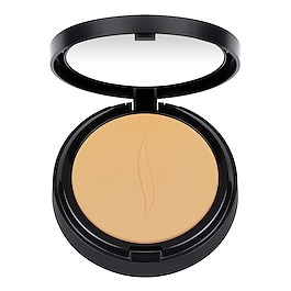 Matte Perfection Powder Foundation - Fond de ten compact image