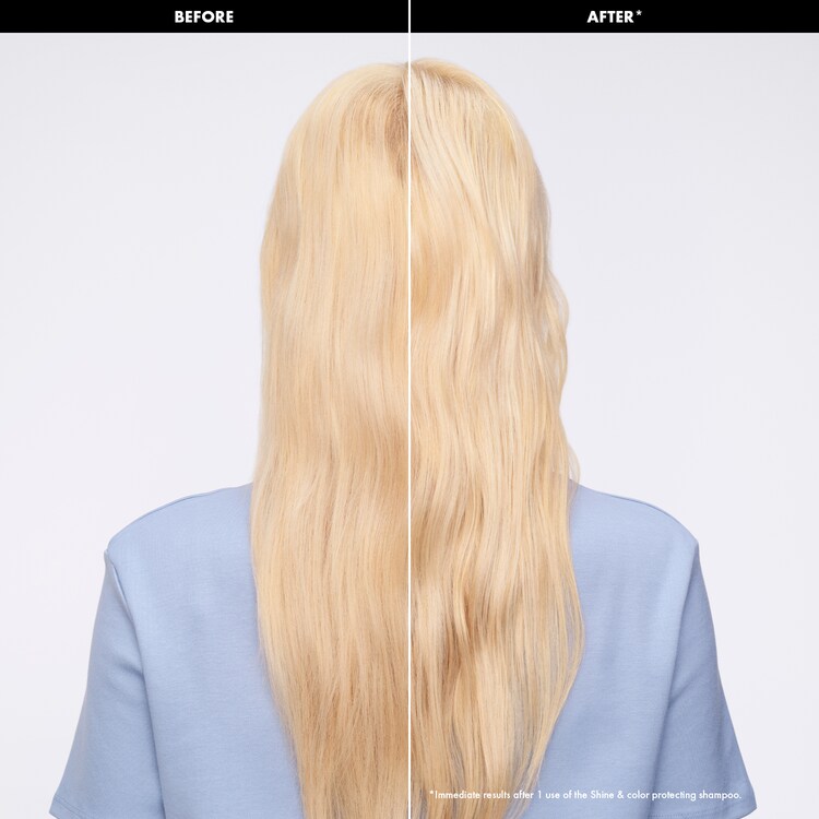 CHAMPÚ PROTECTOR BRILLO Y COLOR - GLOSS CABELLO