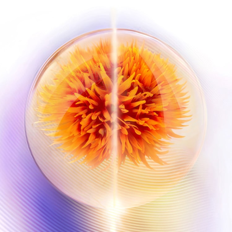 Vital Perfection Crème Soyeuse Lift Fermeté – Crème anti-âge Recharge