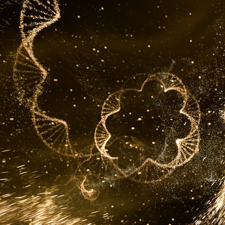 Future Solution LX - Sérum Intensif Fermeté et Eclat 