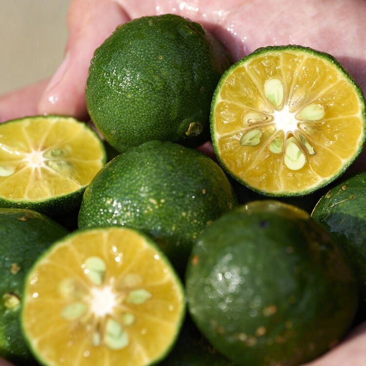 WASO - Gel huile nettoyant et démaquillant