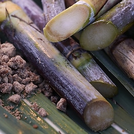 WASO - Derin Gözenek Arındırıcı Mineral Kil Maskesi