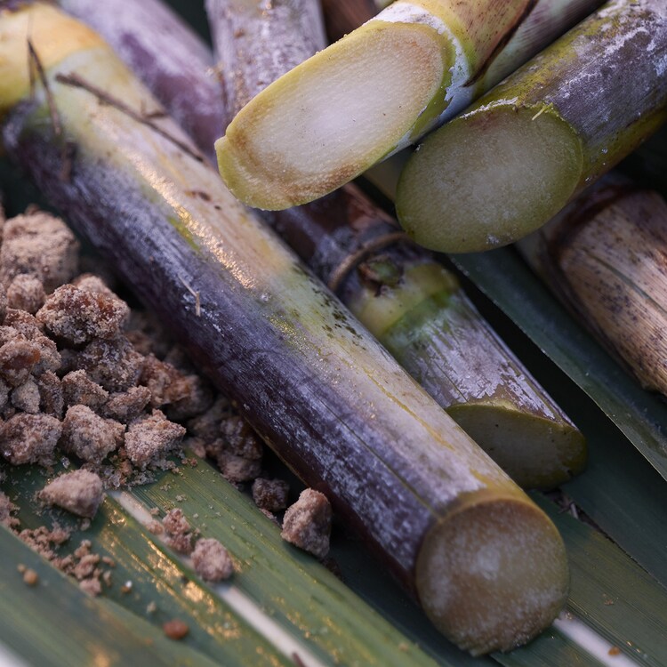 WASO - Masque Purifiant