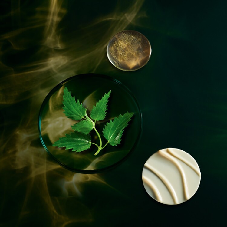 Primer FSLX Base traitement infinie - Base de teint